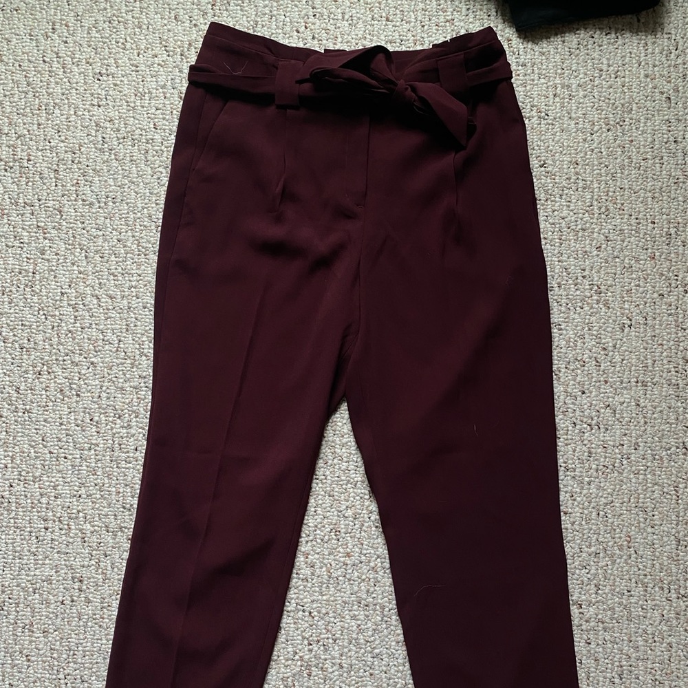Express women work pants